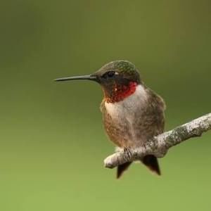 Meet your Posher, Lesa